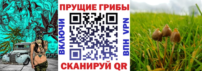 МЕГА ТОР  дарк нет формула  Галлюциногенные грибы ЛСД  Бор 