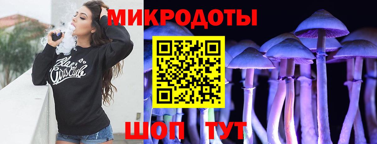 Псилоцибиновые грибы Psilocybine cubensis Бор