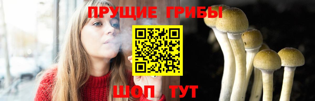 Псилоцибиновые грибы Magic Shrooms  дарнет шоп  Псилоцибиновые грибы GOLDEN TEACHER  Бор 