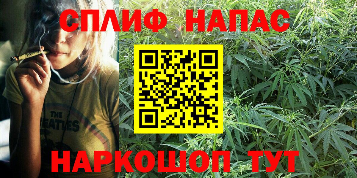 Бошки Шишки семена Бор